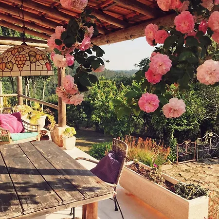 Loft Curral - Quinta Ninho D'aguia 알코바카