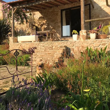 Apartment Loft Curral - Quinta Ninho D'aguia Alcobaca
